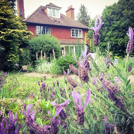 Rosemead Guest House Claygate Eksteriør bilde