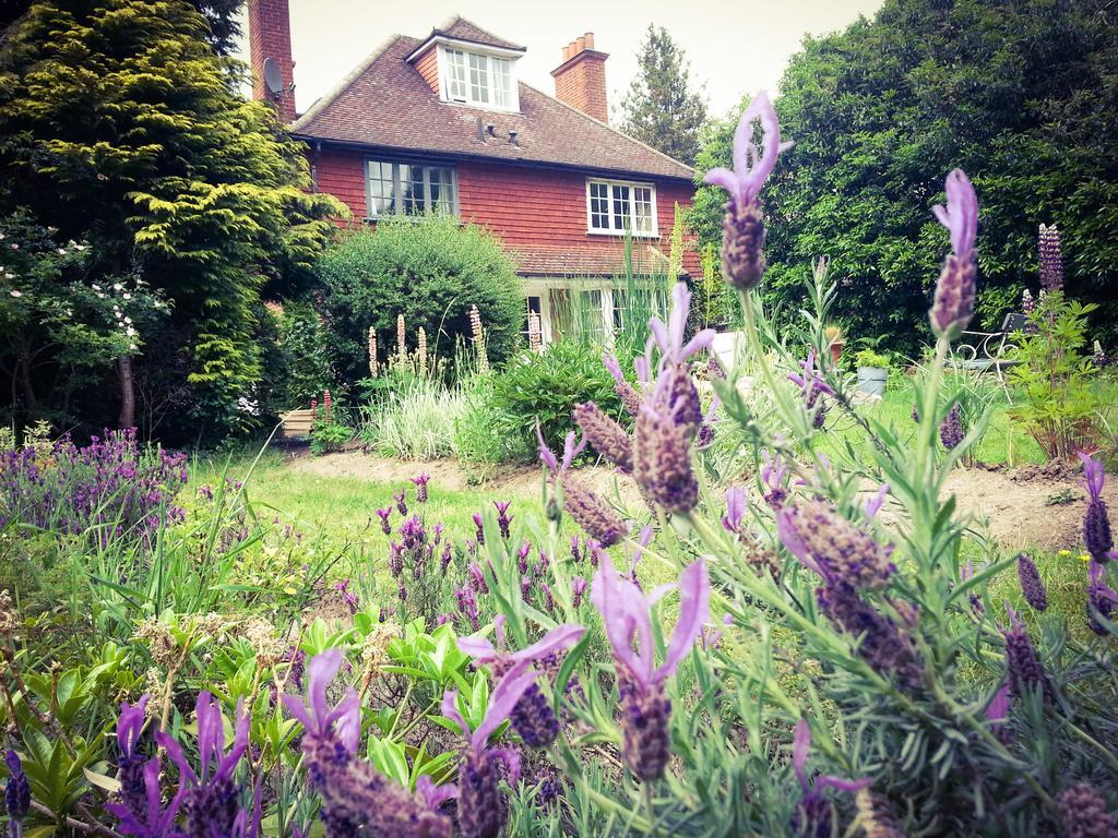 Rosemead Guest House Claygate Eksteriør bilde